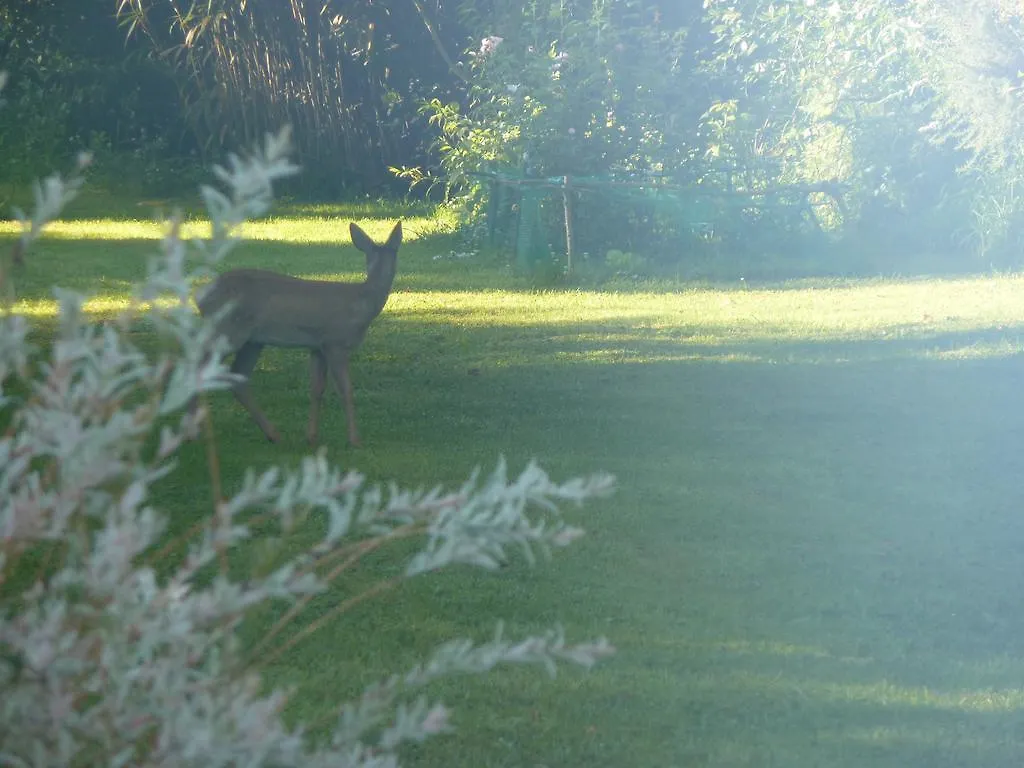 La Belle Relax - Calme Et Tranquillite Assures - 2 Personnes Bed and Breakfast Moëlan-sur-Mer Bed & Breakfast