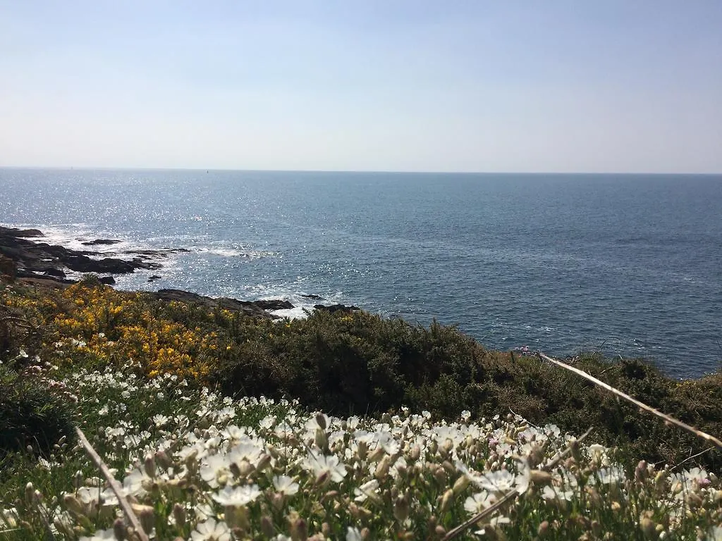 Bed & Breakfast La Belle Relax - Calme Et Tranquillite Assures - 2 Personnes Bed and Breakfast Moëlan-sur-Mer